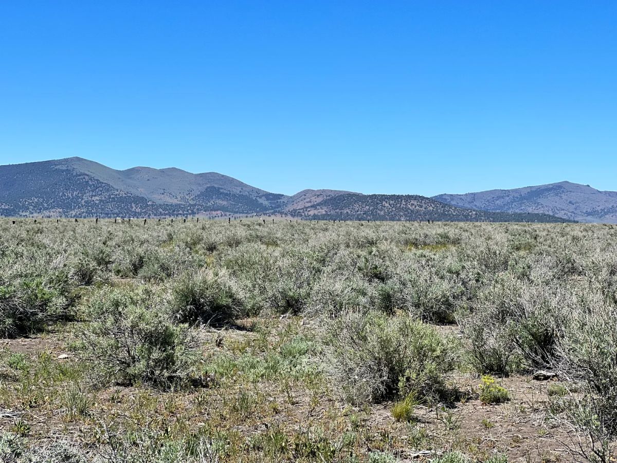 Decorative background for 1 Hour from Susanville, Nice 20 Acres image 9