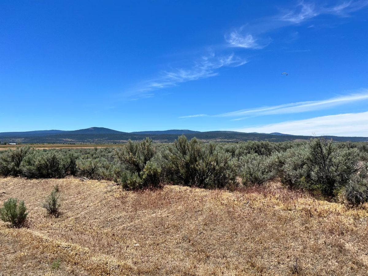 Decorative background for Power in the Area, Easy Highway Access image 6