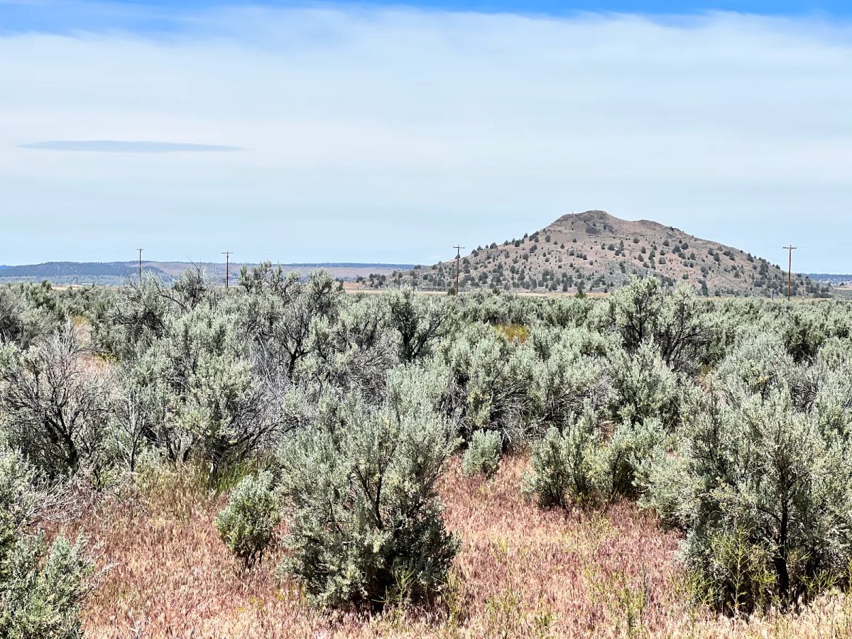 Decorative background for Power in the Area, Easy Highway Access image 7
