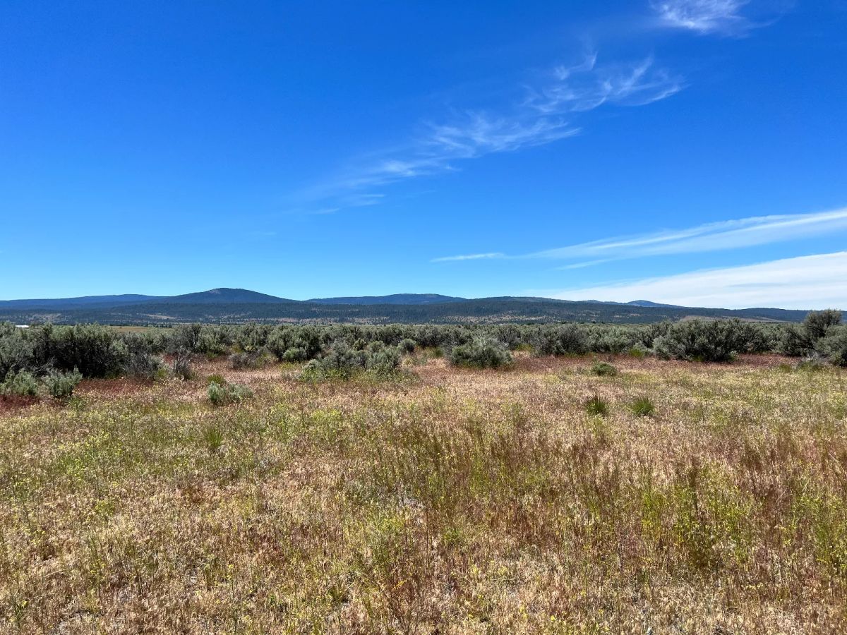 Decorative background for Power in the Area, Easy Highway Access image 8