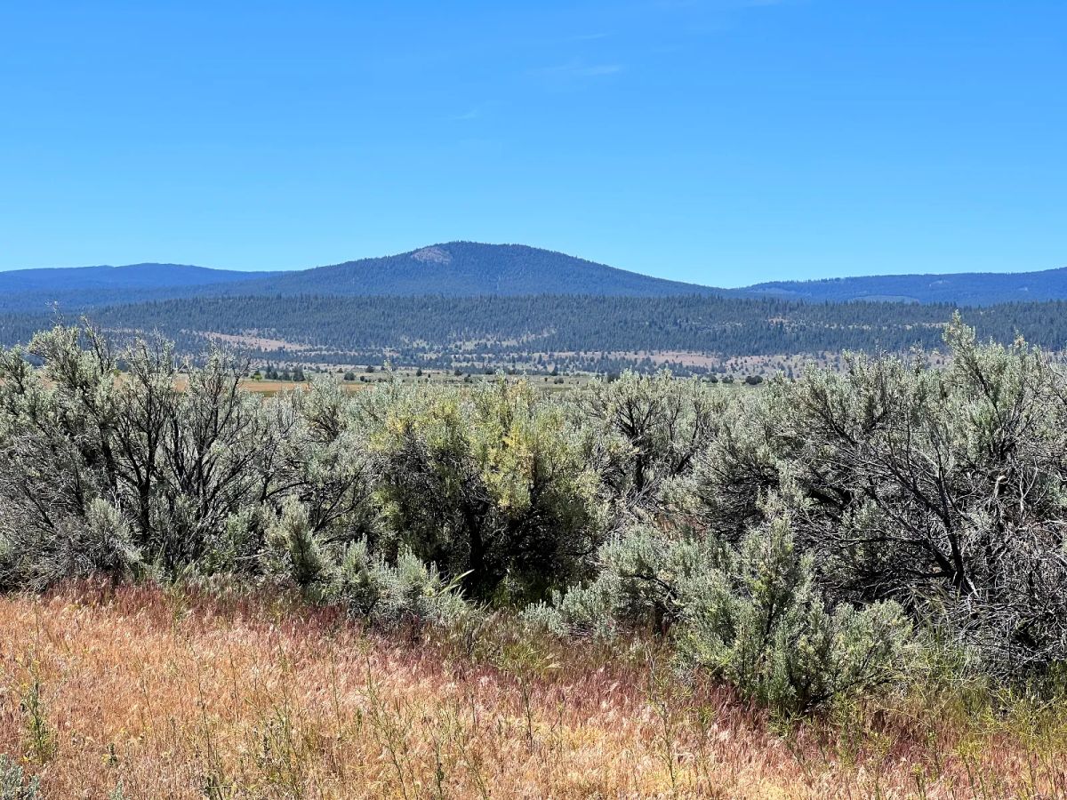 Decorative background for Power in the Area, Easy Highway Access image 15