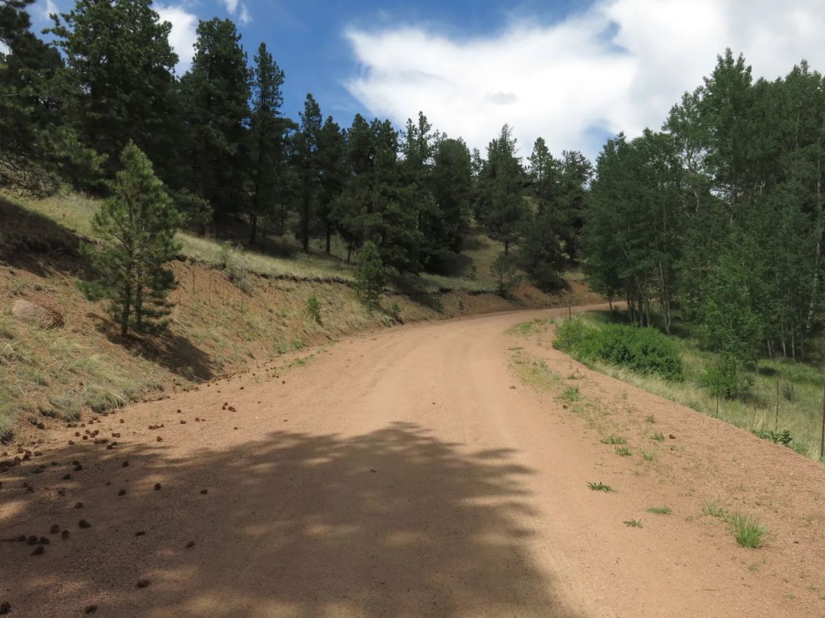 Close to Pikes Peak, Fossil Beds - Main image