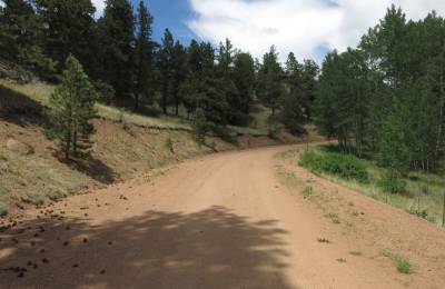 Close to Pikes Peak, Fossil Beds