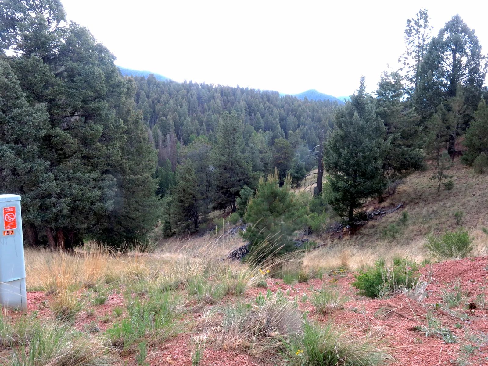 Close to Pikes Peak, Fossil Beds in Teller County, CO