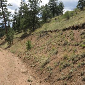 Close to Pikes Peak, Fossil Beds in Teller County, CO