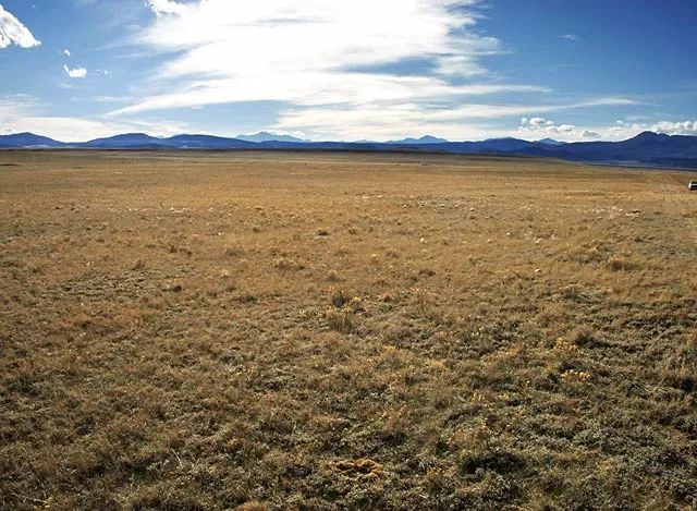 Colorado Mountain Views in Park County, CO