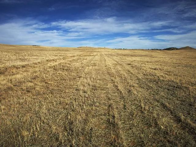 Decorative background for Colorado Mountain Views image 5