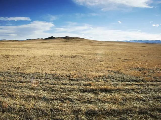 Decorative background for Colorado Mountain Views image 6