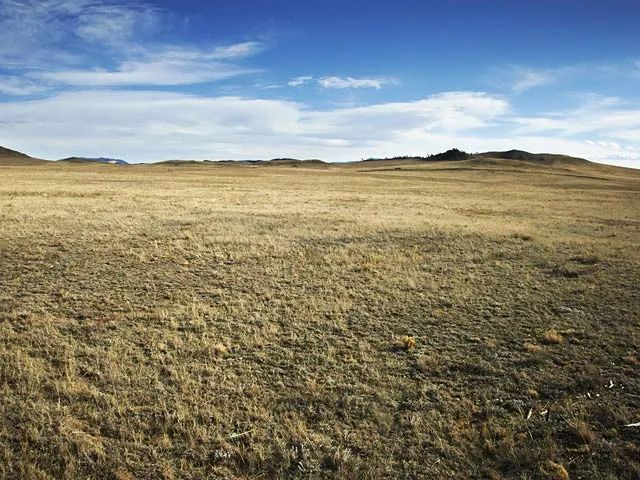 Decorative background for Colorado Mountain Views image 7