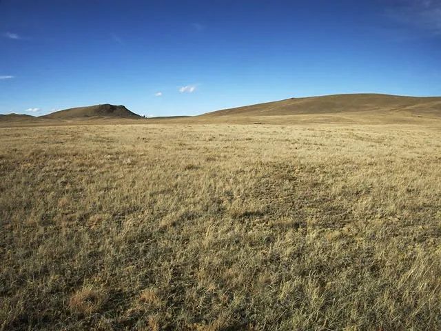 Decorative background for Colorado Mountain Views image 8