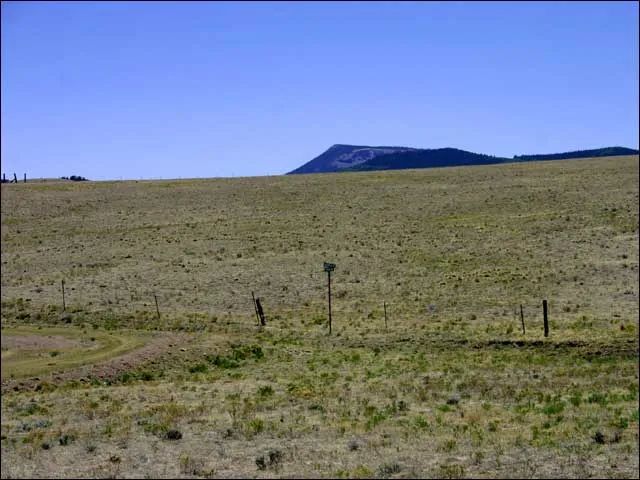 Great Views and Peaceful Location in Park County, CO