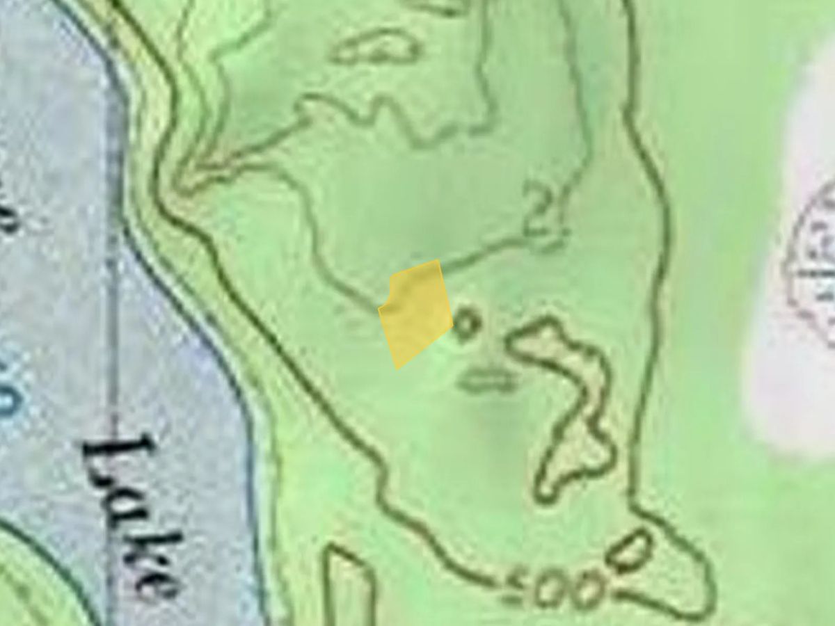 Decorative background for Great Alaskan Wilderness Lot near Dune Lake image 12
