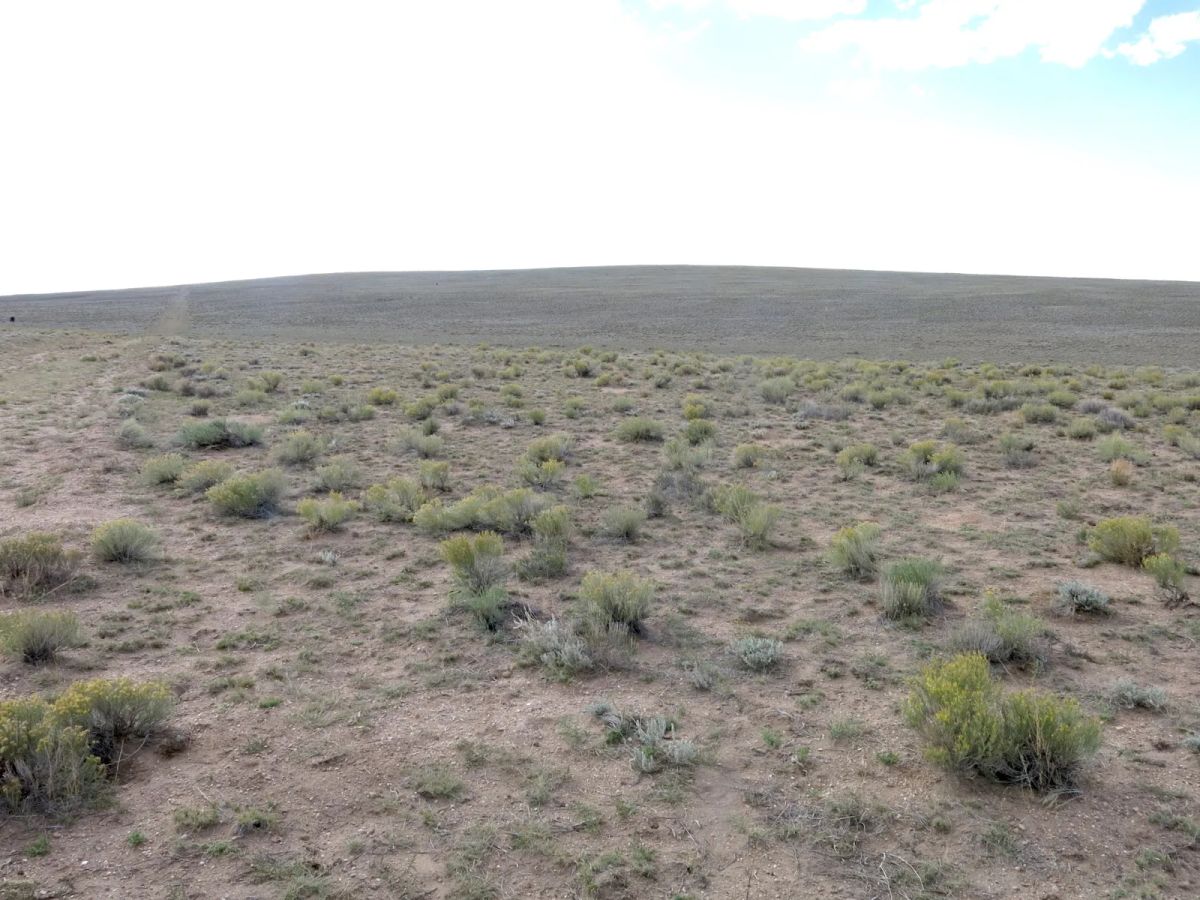 Flat Ranch Land San Luis Valley, Colorado - Main image