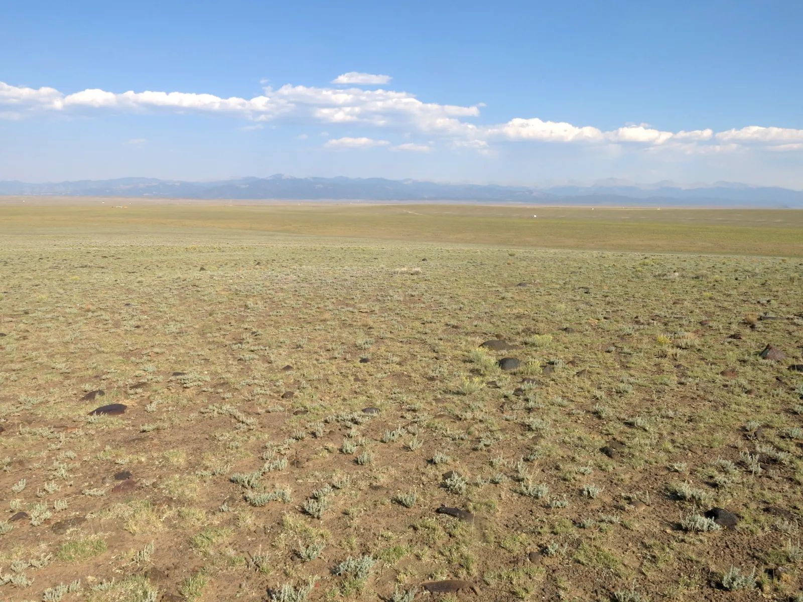 Flat Ranch Land San Luis Valley, Colorado in Costilla County, CO
