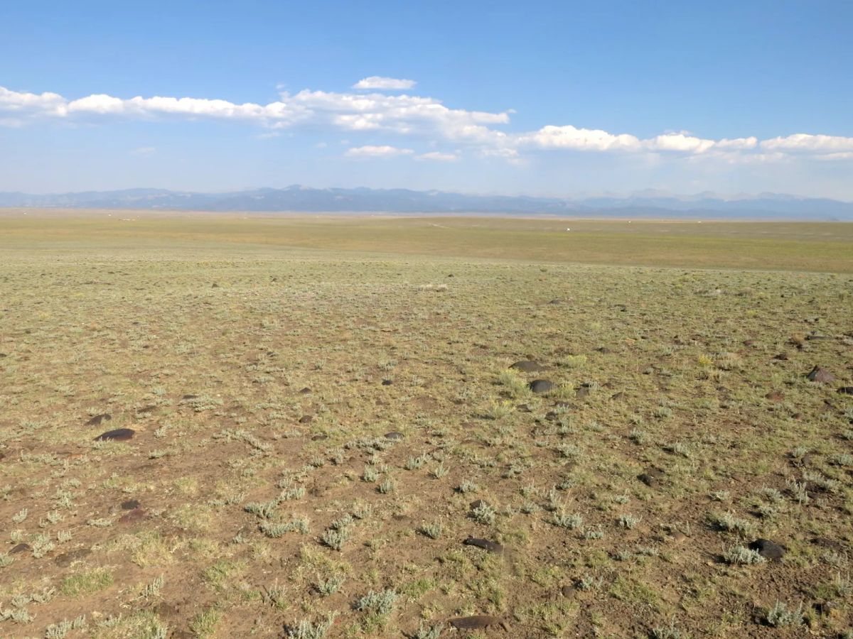 Flat Ranch Land San Luis Valley, Colorado - Image 2
