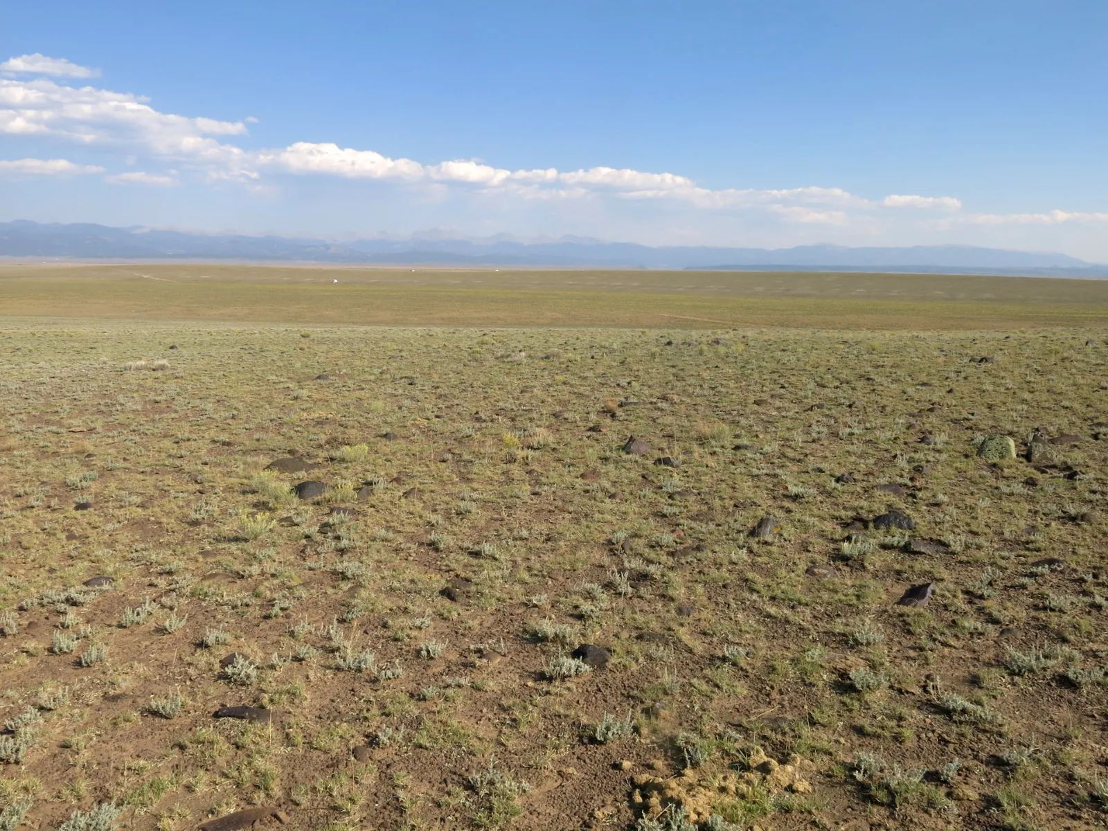 Flat Ranch Land San Luis Valley, Colorado in Costilla County, CO