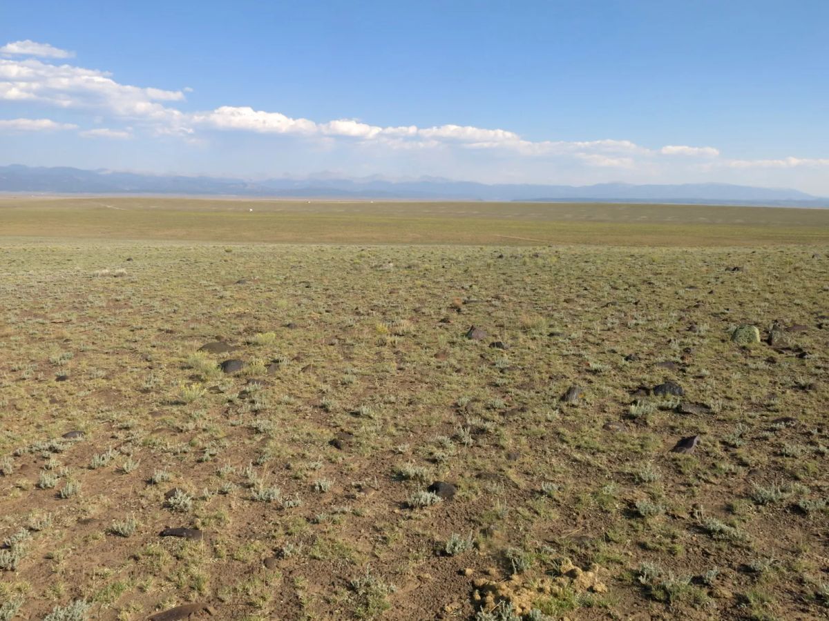 Flat Ranch Land San Luis Valley, Colorado - Image 3
