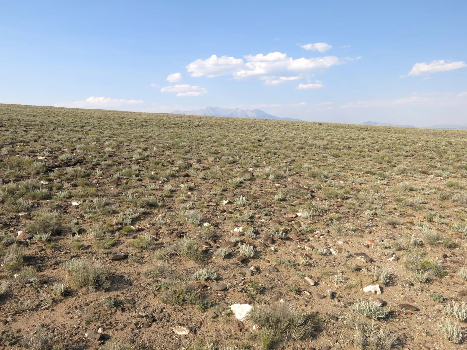 Flat Ranch Land San Luis Valley, Colorado in Costilla County, CO