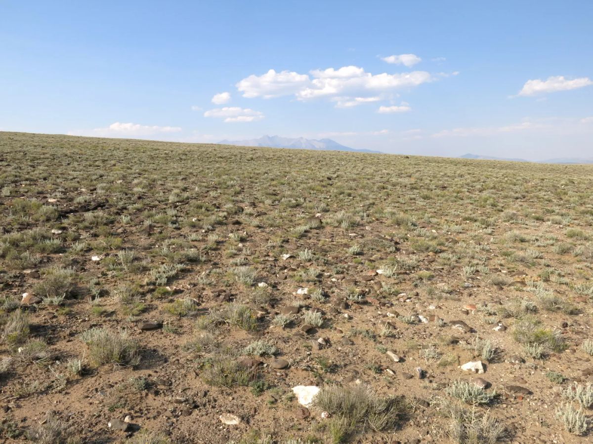 Flat Ranch Land San Luis Valley, Colorado - Image 4