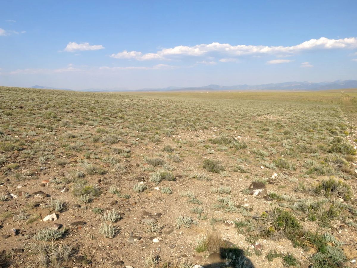 Decorative background for Flat Ranch Land San Luis Valley, Colorado image 5