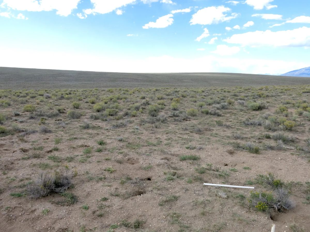 Decorative background for Flat Ranch Land San Luis Valley, Colorado image 6