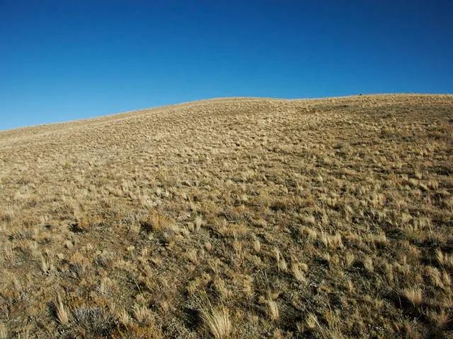 State Parks Nearby, Endless Activities in Park County, CO