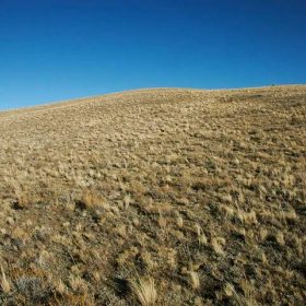 State Parks Nearby, Endless Activities in Park County, CO