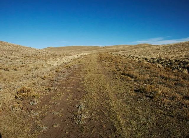 State Parks Nearby, Endless Activities in Park County, CO