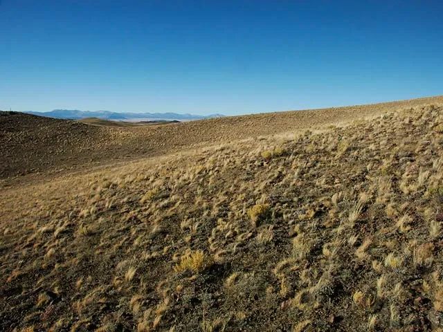 Decorative background for State Parks Nearby, Endless Activities image 6