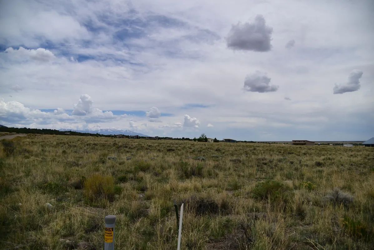 Decorative background for Level Property in Crestone Area image 5