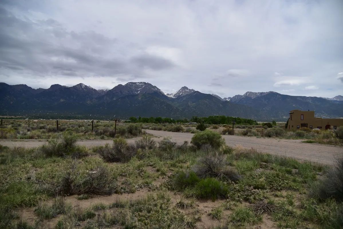 Decorative background for Corner Property, Level, Walking Trails Nearby image 7
