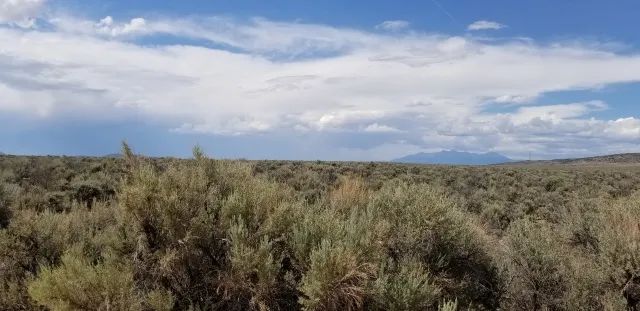 County Maintained Road, Year Round Access in Costilla County, CO
