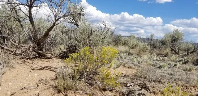Decorative background for County Maintained Road, Year Round Access image 9