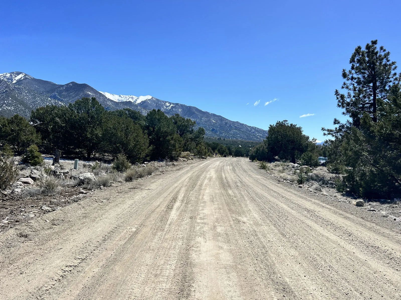 Wilderness Property with Low Lying Trees in Saguache County, CO