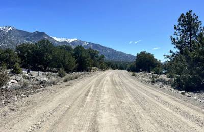 Wilderness Property with Low Lying Trees
