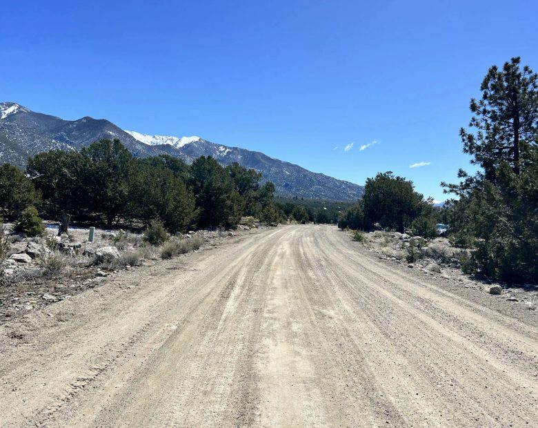 Wilderness Property with Low Lying Trees in Saguache County, CO