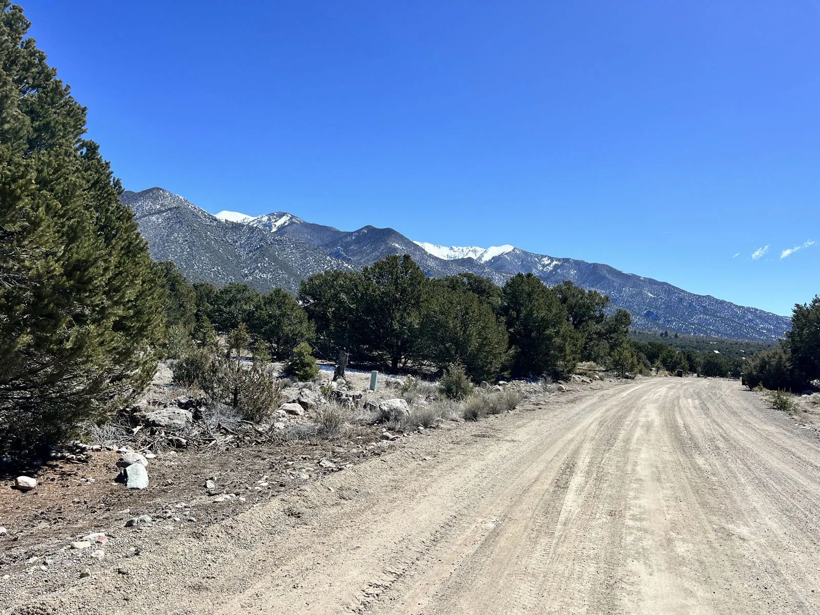 Wilderness Property with Low Lying Trees in Saguache County, CO
