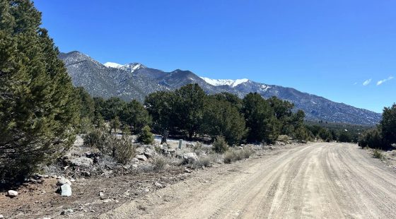 Wilderness Property with Low Lying Trees in Saguache County, CO