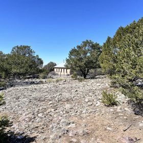 Wilderness Property with Low Lying Trees in Saguache County, CO