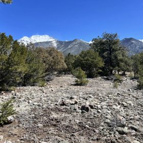 Wilderness Property with Low Lying Trees in Saguache County, CO
