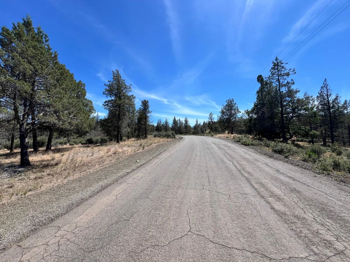 Paved Road, Level Property with Scattered Trees - Image 2