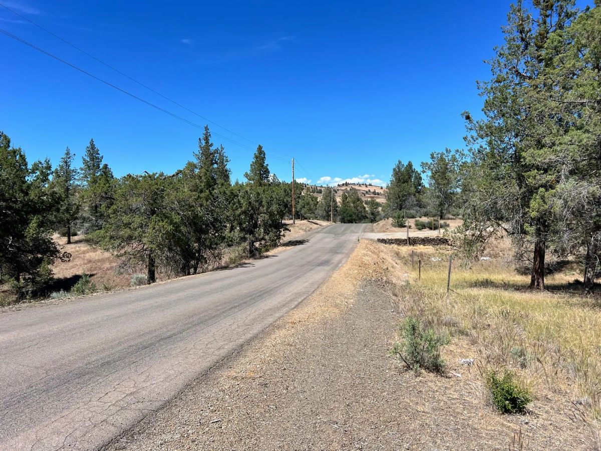 Paved Road, Level Property with Scattered Trees - Image 3