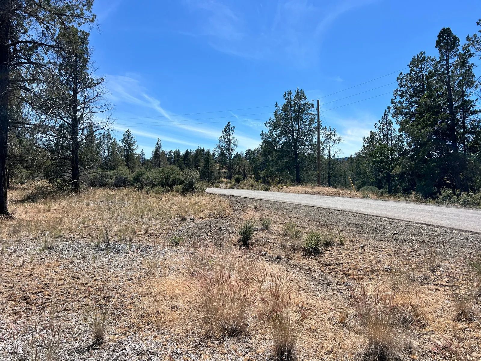 Paved Road, Level Property with Scattered Trees in Siskiyou County, CA