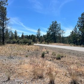 Paved Road, Level Property with Scattered Trees in Siskiyou County, CA