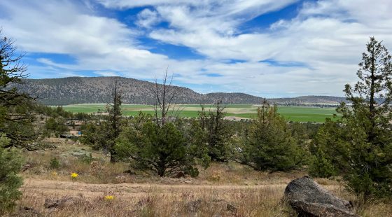 Gentle Slope, Amazing Views in Siskiyou County, CA