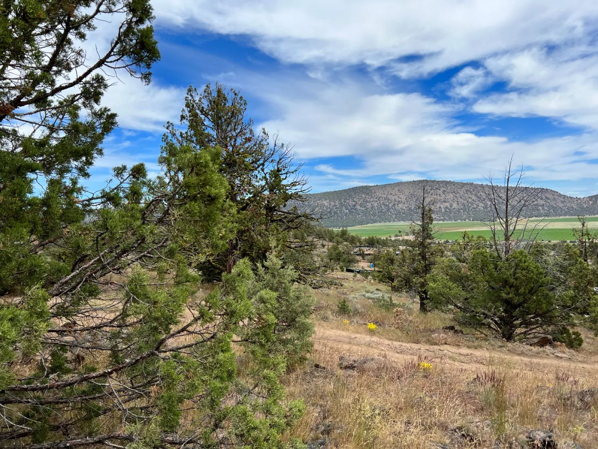 Gentle Slope, Amazing Views - Image 3
