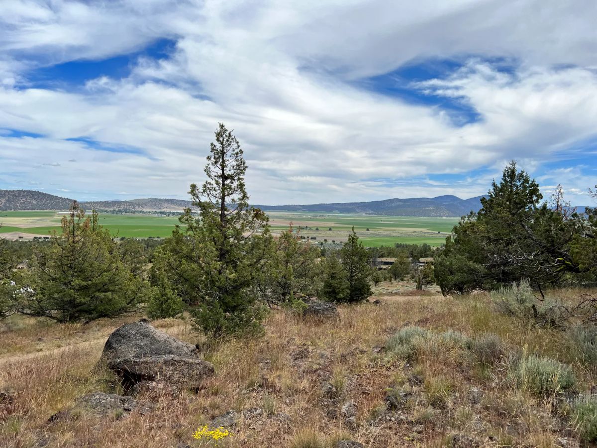Gentle Slope, Amazing Views - Image 4