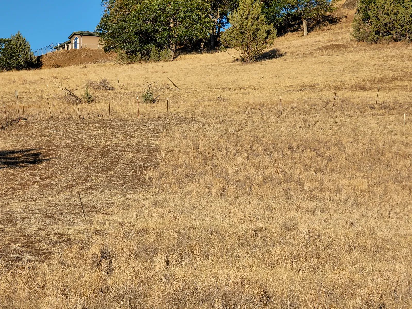 Gentle Slop, Valley Views in Siskiyou County, CA