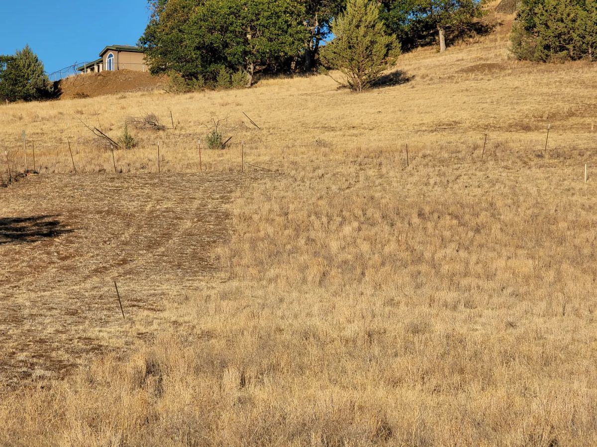 Gentle Slop, Valley Views - Image 4