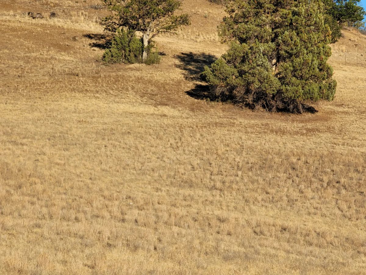 Decorative background for Gentle Slop, Valley Views image 5